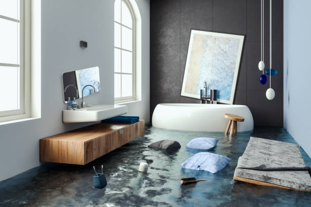 Best Mold removal after water damage  in Secaucus, NJ