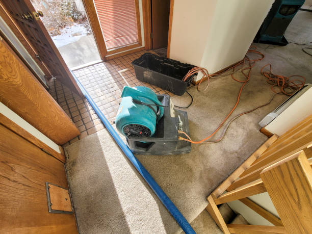 Water damage restoration insurance claims in NJ