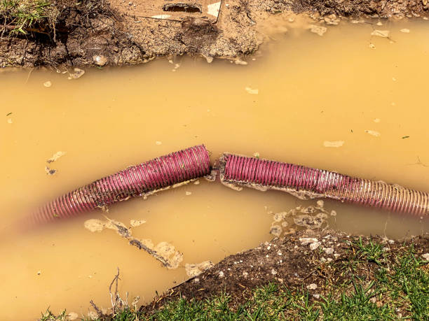 Best Professional water damage repair  in Secaucus, NJ