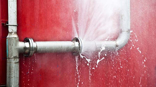 Best Flooded house restoration  in Secaucus, NJ
