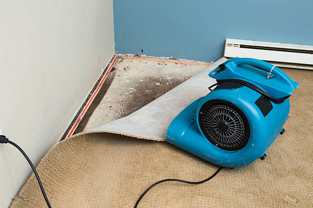 Secaucus, NJ Water damage restoration Pros